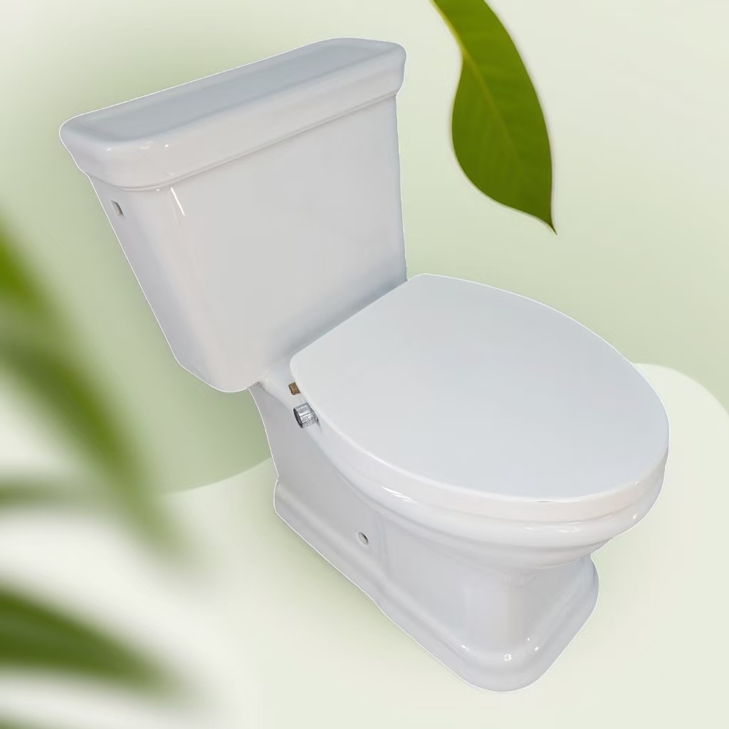 Quick Release Easy Installation PP Dual Nozzle Toilet Seat